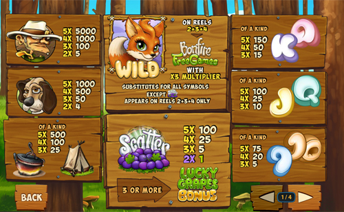 free Foxy Fortunes slot paytable