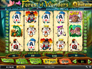 Forest of Wonders<